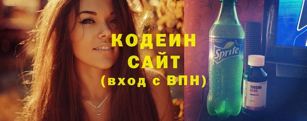 индика Беломорск