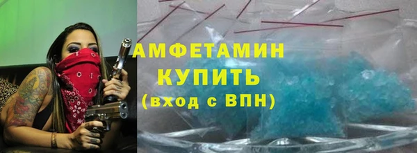 индика Беломорск
