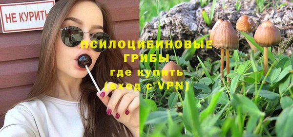 Альфа ПВП Белокуриха