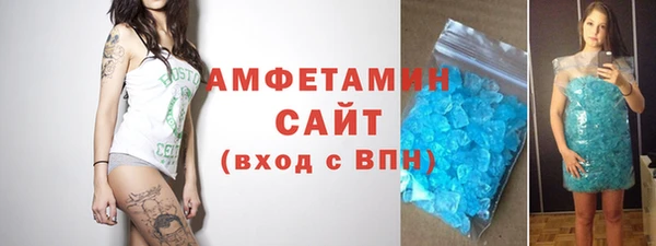 индика Беломорск