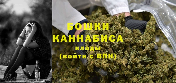 индика Беломорск