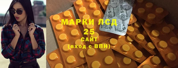 индика Беломорск