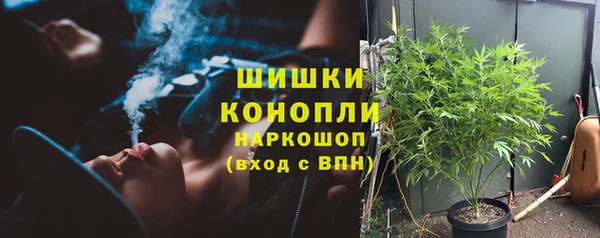 Альфа ПВП Белокуриха