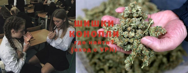каннабис Сосновка